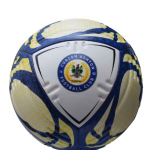 Premium Custom 10-Panel Soccer Ball (Textured TPU)